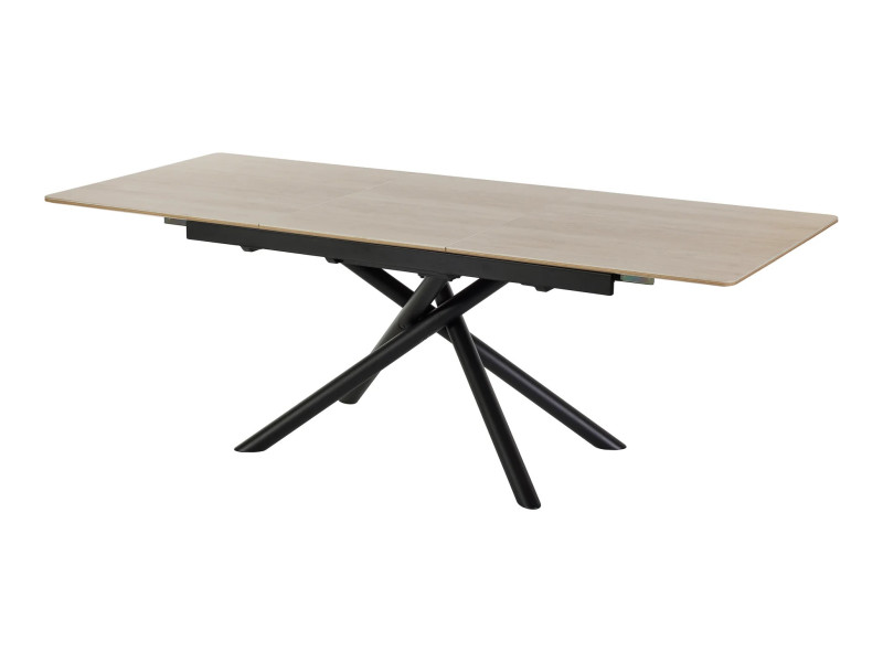 TF2510 - Table de séjour