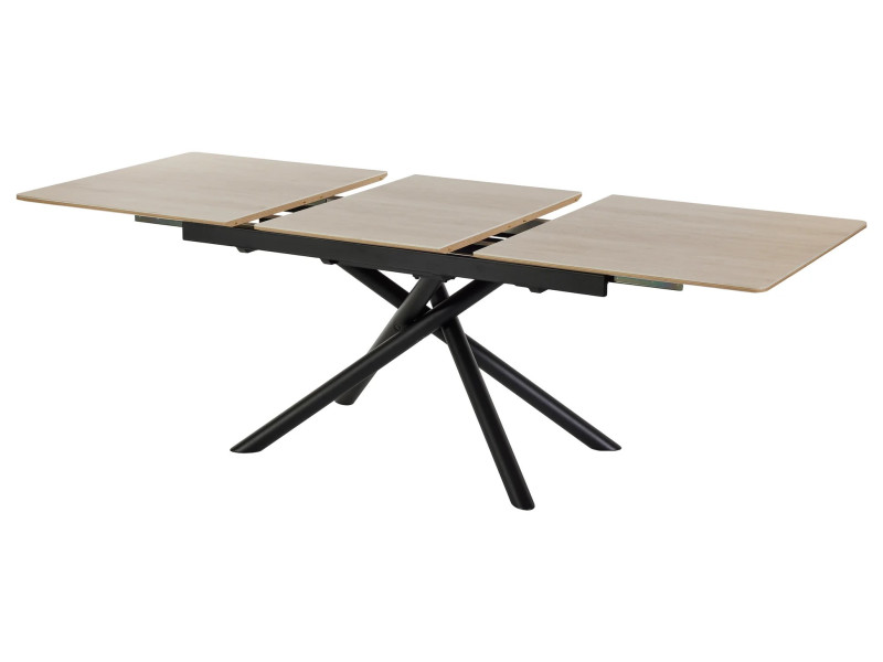 TF2510 - Table de séjour