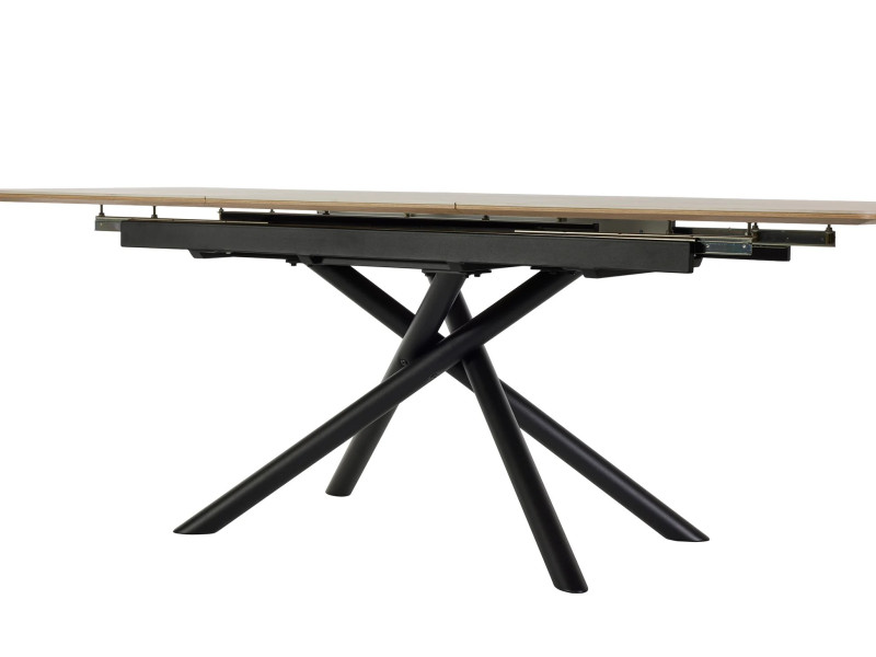 TF2510 - Table de séjour
